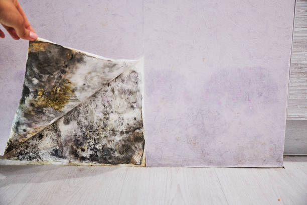 Water Damage Restoration in Intercourse, PA